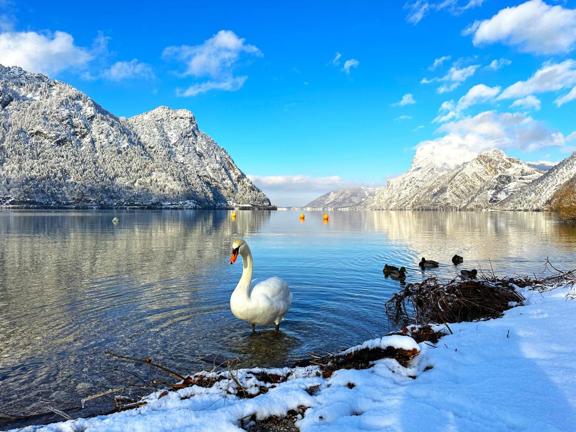 Appartement Bergmann Ebensee Eksteriør bilde