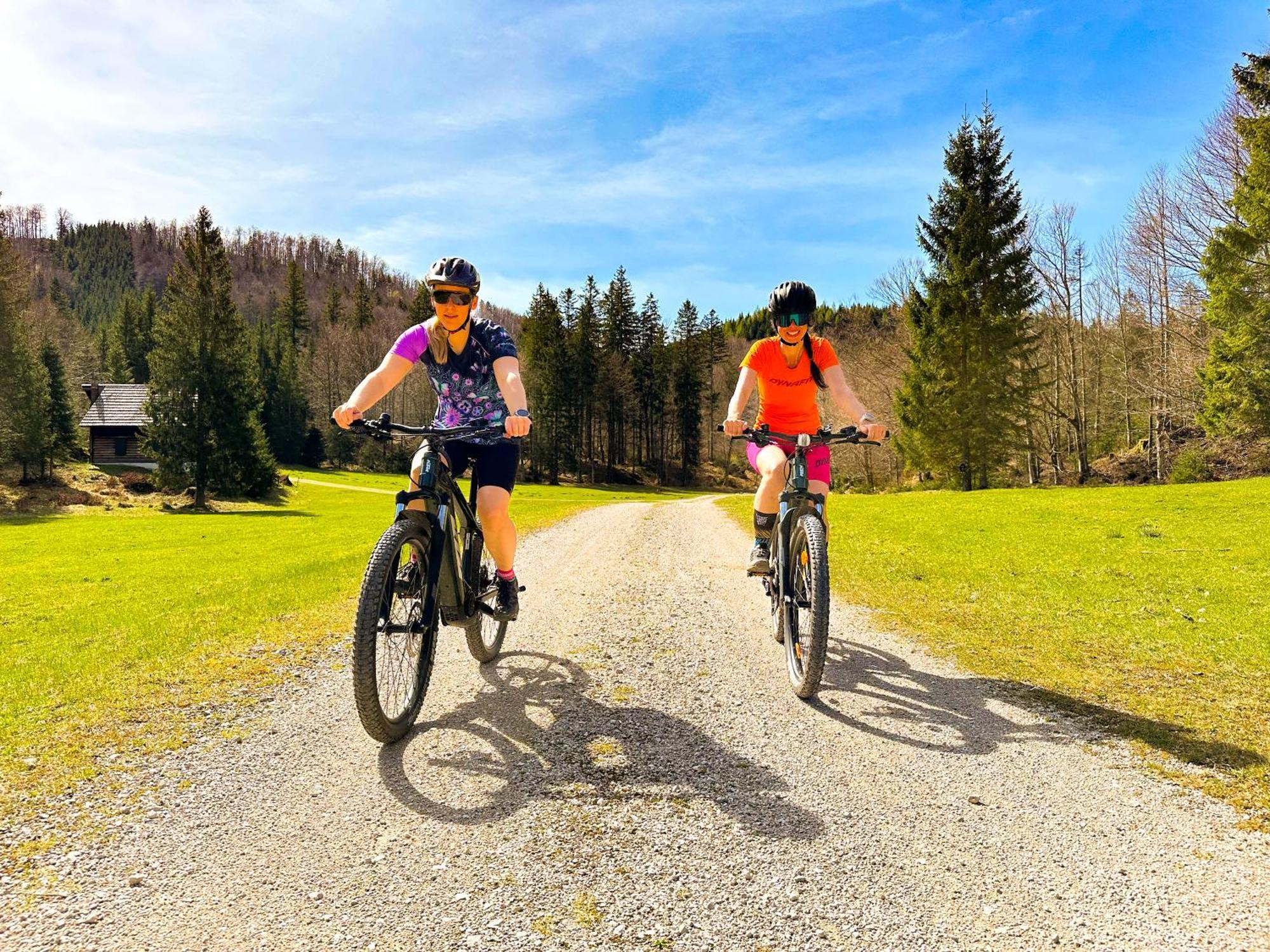Appartement Bergmann Ebensee Eksteriør bilde